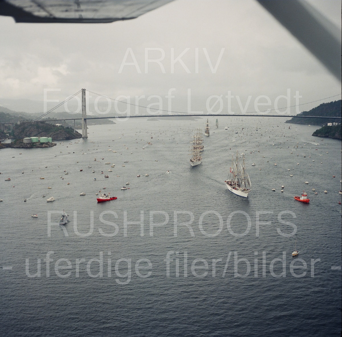 Arkiv 295